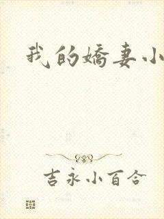 我的娇妻小说