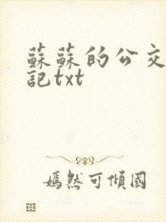 苏苏的公交车日记txt