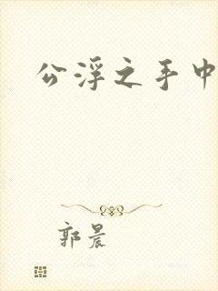 公浮之手中字5