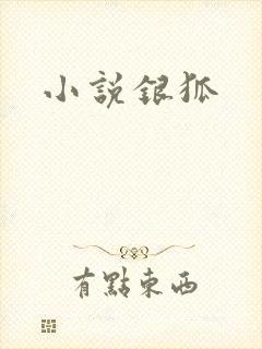 小说银狐