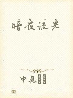 暗夜流光