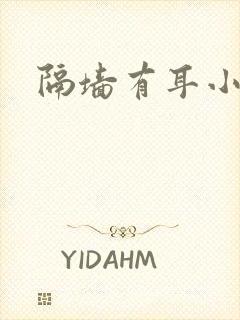 隔墙有耳小说