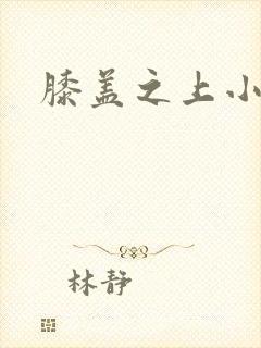 膝盖之上小说