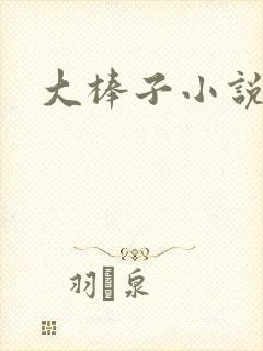 大棒子小说