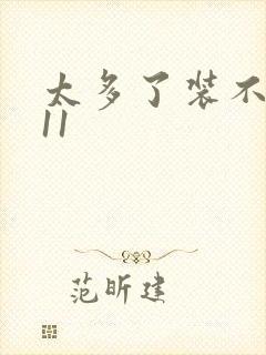 太多了装不下H11