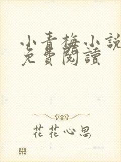 小青梅小说全文免费阅读
