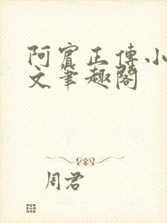 阿宾正传小说全文笔趣阁