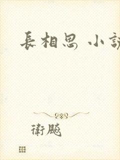 长相思 小说
