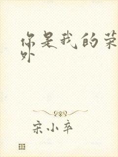 你是我的荣耀番外