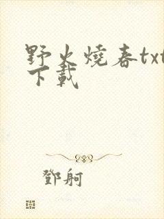 野火烧春txt下载