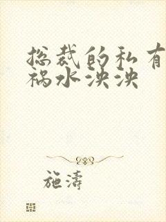 总裁的私有宝贝祸水泱泱