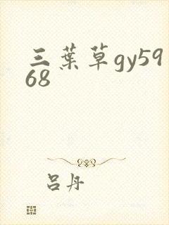 三叶草gy5968