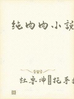 纯肉肉小说