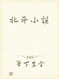 北斗小说