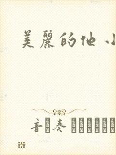 美丽的他 小说