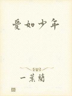 爱如少年