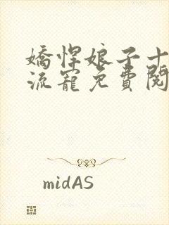 娇悍娘子十夫轮流宠免费阅读全文