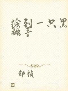 捡到一只黑心小触手