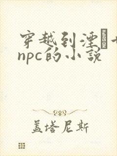 穿越到湮婸世界npc的小说