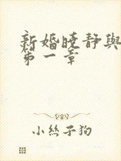 新婚晓静与翁公笫一章