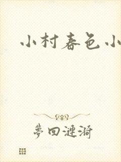 小村春色小说