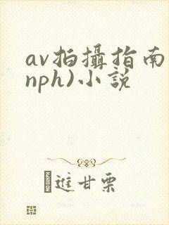 av拍摄指南(nph)小说