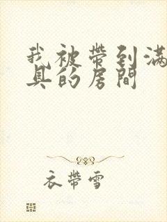 我被带到满是玩具的房间