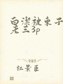 白洁被东子老二老三3p