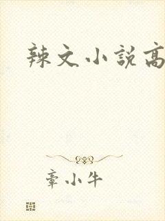 辣文小说高h