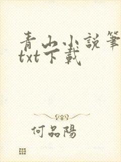青山小说笔趣阁txt下载
