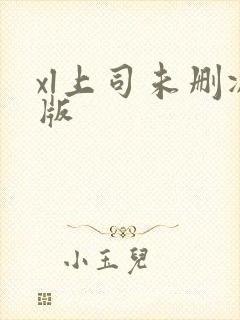 xl上司未删减版