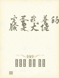 完蛋我养的小白脸是大佬