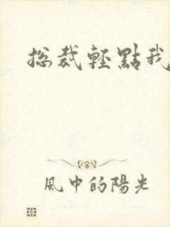 总裁轻点我怕疼