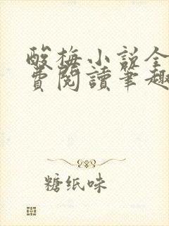 酸梅小说全文免费阅读笔趣阁