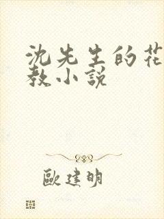 沈先生的花式管教小说