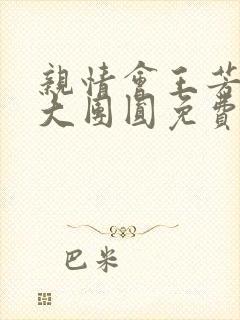 亲情会王芳高敏大团圆免费阅读