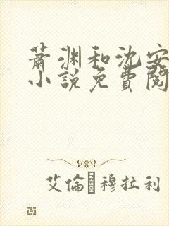 萧渊和沈安安的小说免费阅读