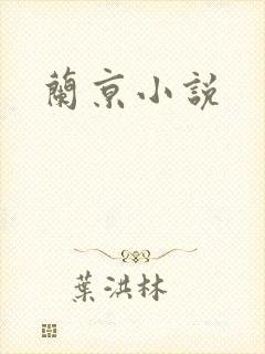 兰京小说