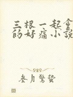 三根一起会坏掉的好痛小说