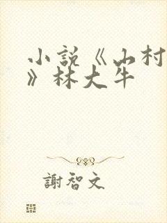 小说《山村情事》林大牛