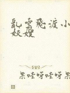 乱云飞渡小说之姣嫂