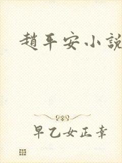 赵平安小说主角