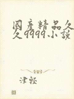 国产精品久久久久9999小说