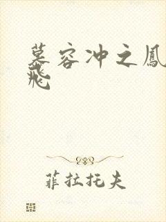 慕容冲之凤凰于飞