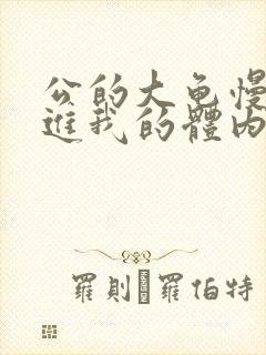 公的大龟慢慢挺进我的体内