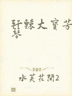 轩辕大宝芳菲雅琴