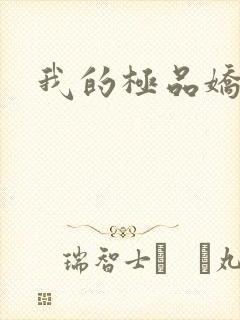 我的极品娇妻