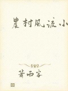 农村风流小说封面