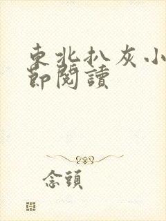 东北扒灰小说分节阅读