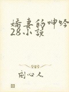 娇妻的呻吟1—28小说